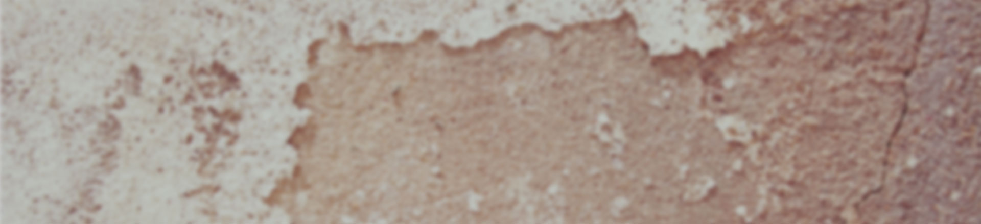 免费ddos在线攻击测试网站